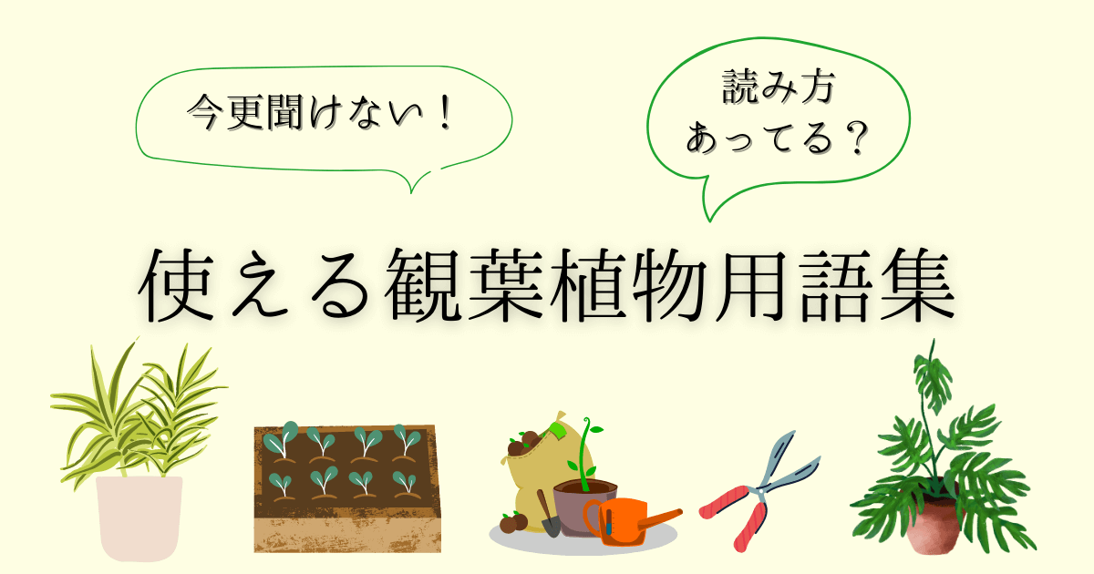 使える観葉植物用語集