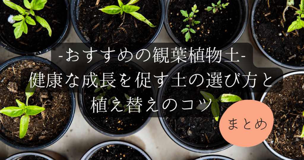 おすすめの観葉植物土！健康な成長を促す土の選び方と植え替えのコツのまとめ