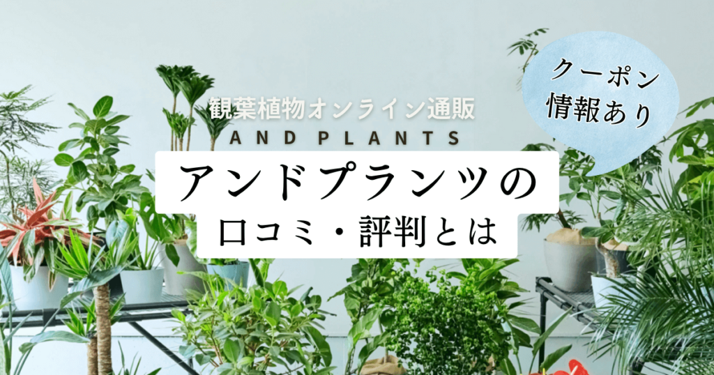 観葉植物オンライン通販「アンドプランツ」の口コミ・評判・クーポン！