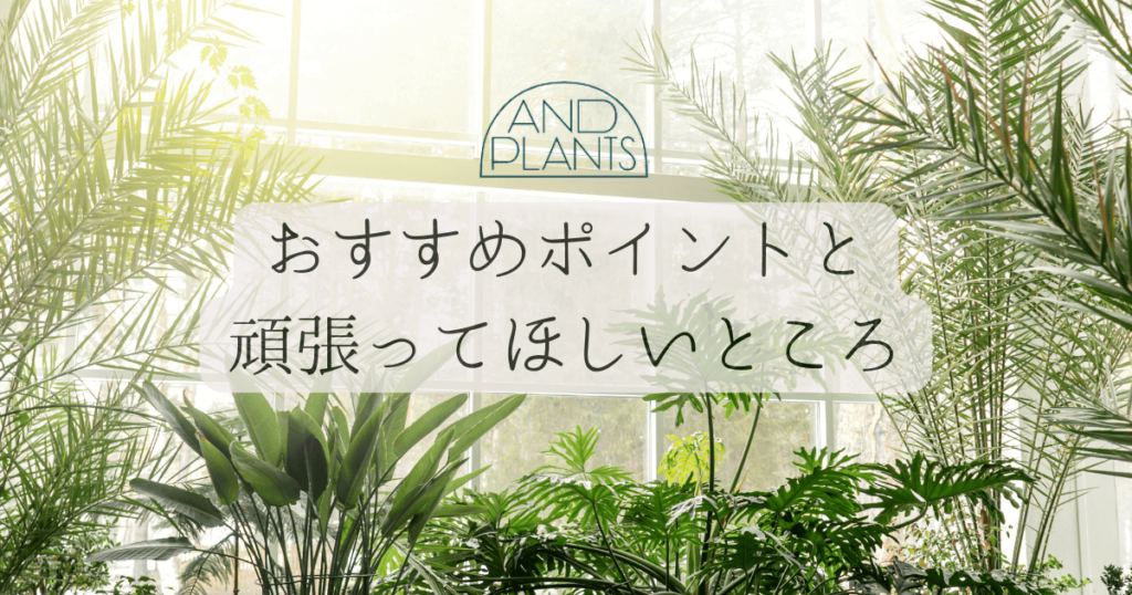 アンドプランツ（AND PLANTS）のおすすめポイントと頑張ってほしいところ